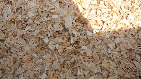 Geschreddertes Holz 
