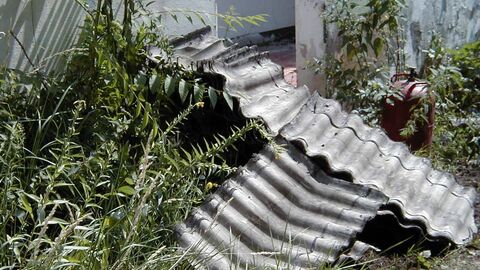 Wellasbestplatten auf einem Haufen  Wellasbestplatten abgelagert zwischen grünen Pflanzen