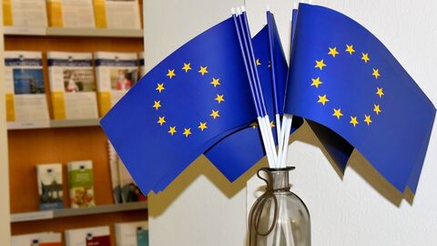 EU-Fähnchen Fähnchen mit dem Symbol der Europäischen Union in einer Vase