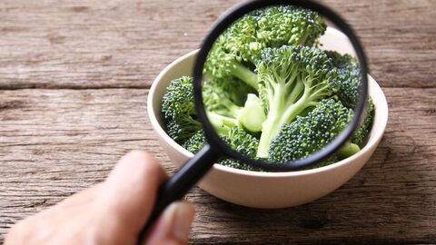 Hand mit Lupe über einer Schale mit Broccoliröschen Eine Hand mit Lupe über einer Schale mit Broccoliröschen