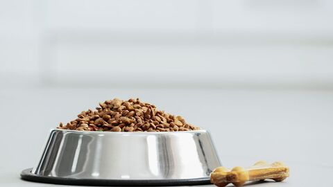 Futternapf mit Hundefutter und Hundeknochen Futternapf mit Hundefutter und Hundeknochen