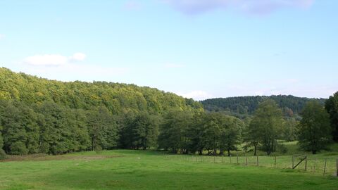 Wälder Wälder