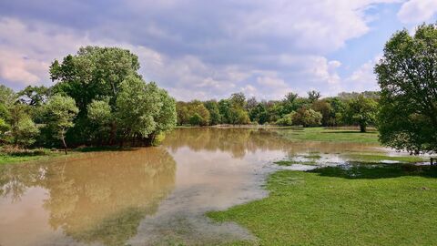 Überschwemmte Landschaft