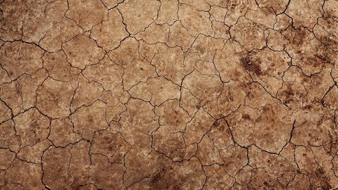 Vorsorgender Bodenschutz Ausgetrockneter Boden