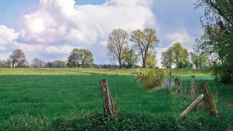 Auenlandschaft mit Deich 