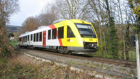 Ein Zug fährt durch Natur