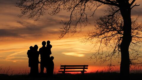 Auslandsadoption Eine Familie steht im Sonnenuntergang neben einem großen Baum.