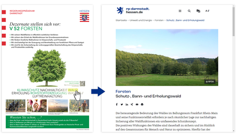 Links: Dezernatsplakat des Dezernats V 52 Forsten, Rechts: Bildschirmaufnahme der RP-Seite "Schutz-, Bann- und Erholungswald"