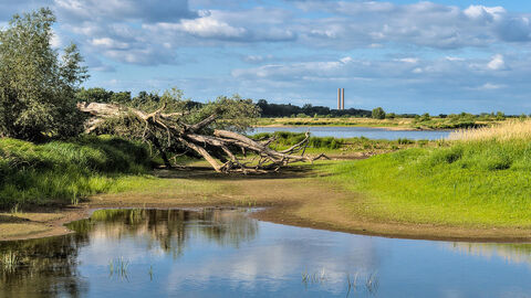 Teilweise ausgetrockneter Fluss
