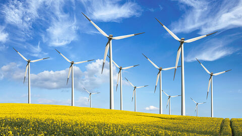 Mehrere Windräder auf einem Rapsfeld vor blauem Himmel