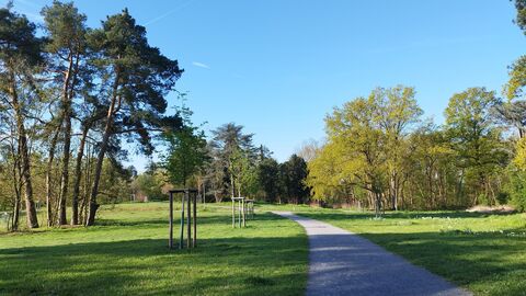 Park mit Bäumen und Weg