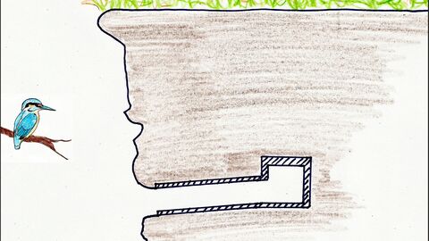 Bild mit Vogel und waagerechter, länglicher Höhle in Böschung mit Wiese darauf