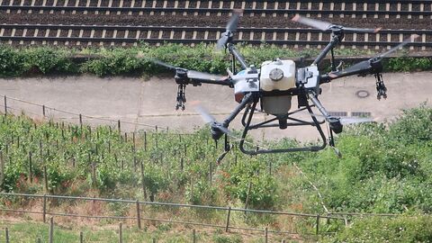 Eine Drohne fliegt über einen Weinberg.