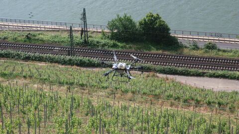 Eine Drohne fliegt über einen Weinberg.