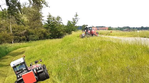 schräge Wiese mit Fahrzeugen darauf