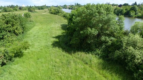 Grüne Wiese mit Bäumen und Büschen an Fluss