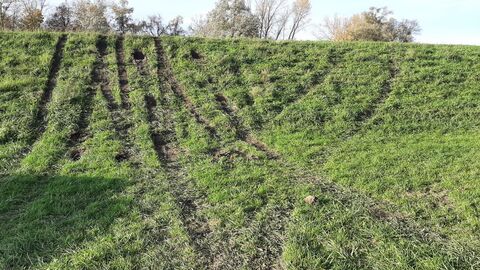 Reifenspuren in Wiesenhügel