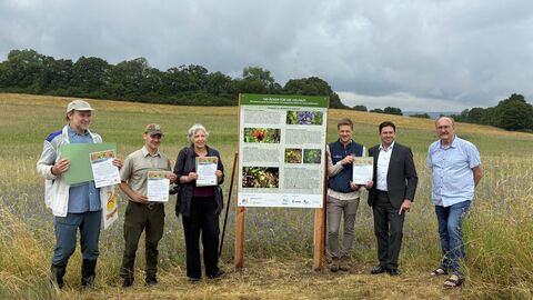 (von links) Stefan Meyer (ehemals Uni Göttingen), Marvin Bender (Hessenforst, Funktionsbeschäftigter Naturschutz Forstamt Schlüchtern), Mascha Werth (Landschaftspflegeverband Main-Kinzig-Kreis), Nicolas Bickel (RP Darmstadt), Regierungspräsident Prof. Dr. Jan Hilligardt (RP Darmstadt), Reinhold Baier (Erster Stadtrat). 