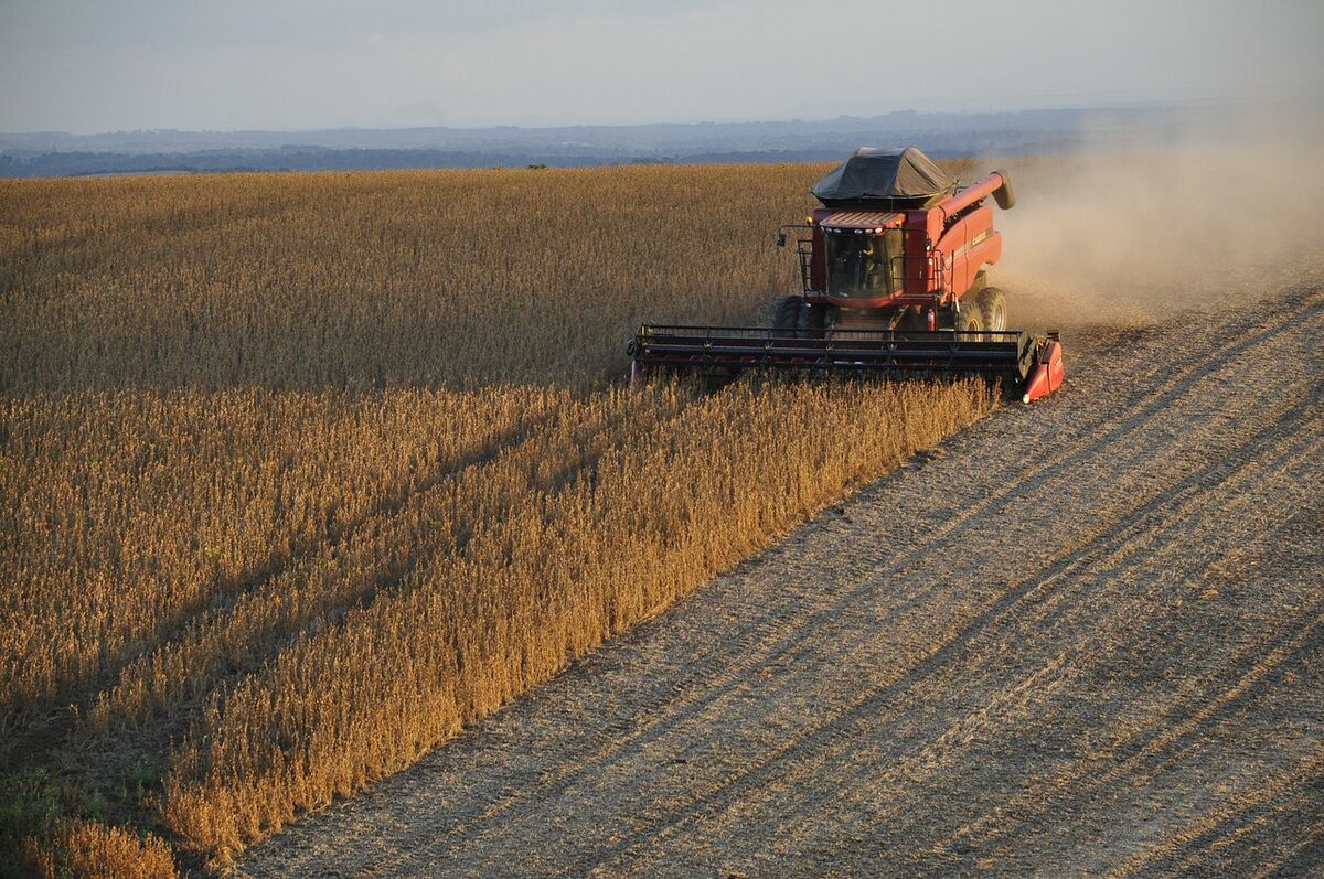 Landwirtschaft | rp-darmstadt.hessen.de